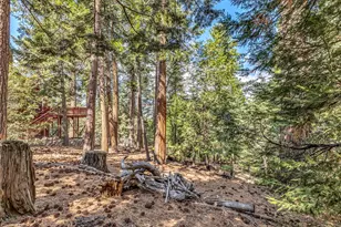 52680 Pine Ridge Rd, Idyllwild, CA 92549 - Photo 9