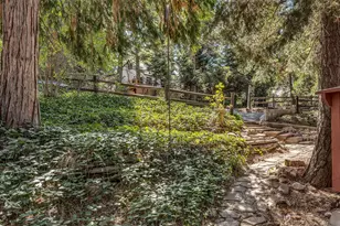 52680 Pine Ridge Rd, Idyllwild, CA 92549 - Photo 11