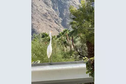 71581 Sahara Road, Rancho Mirage, CA 92270 - Photo 43