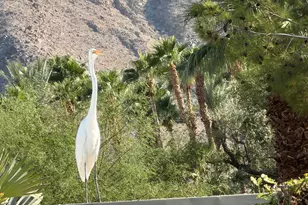 71581 Sahara Rd, Rancho Mirage, CA 92270 - Photo 43