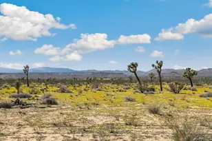 1135 Warren Vista Ave, Yucca Valley, CA 92284 - Photo 15