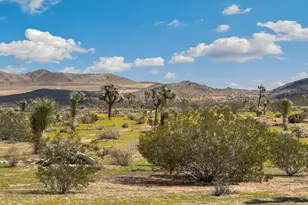 1135 Warren Vista Ave, Yucca Valley, CA 92284 - Photo 17