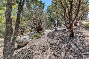 53021 Inspiration Ln, Idyllwild, CA 92549 - Photo 49