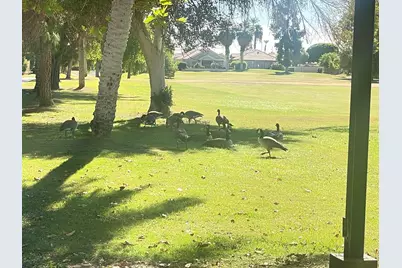 82567 Avenue 48 #36, Indio, CA 92201 - Photo 17