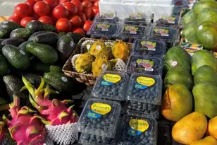 74711 Dillon Rd Spc 862, Desert Hot Springs, CA 92241 - Photo 25