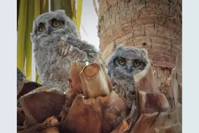 74711 Dillon Rd Spc 862, Desert Hot Springs, CA 92241 - Photo 27