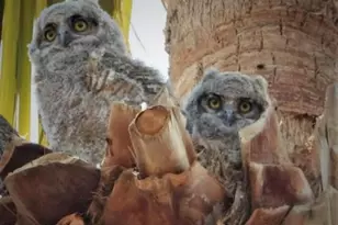 74711 Dillon Rd Spc 862, Desert Hot Springs, CA 92241 - Photo 27