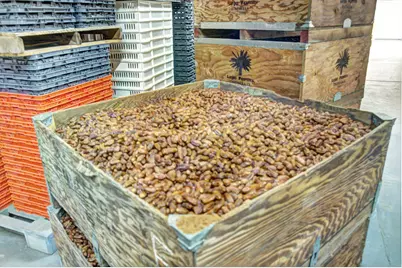 52500 Van Buren Street, Coachella, CA 92236 - Photo 23