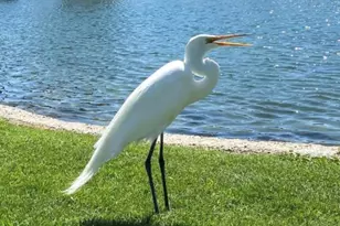 74711 Dillon Rd Spc 724, Desert Hot Springs, CA 92241 - Photo 35