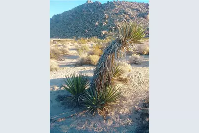 67428 Sullivan Road, 29 Palms, CA 92277 - Photo 21