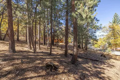 1409 Klamath Road, Big Bear City, CA 92314 - Photo 7
