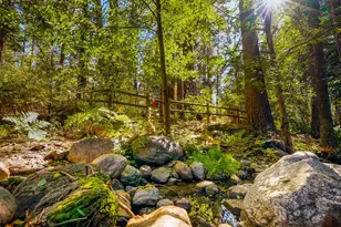 54160 S Circle Dr, Idyllwild, CA 92549 - Photo 27