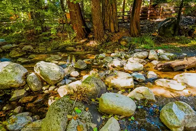 54160 S Circle Drive, Idyllwild, CA 92549 - Photo 25