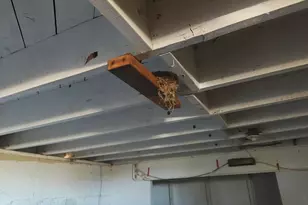 6149 105 Th Street W, Rosamond, CA 93560 - Photo 73