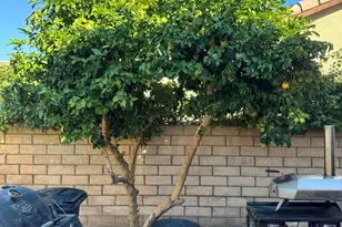 82774 Matthau Dr, Indio, CA 92201 - Photo 7