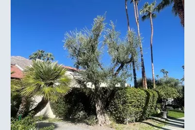 1470 S Camino Real, Palm Springs, CA 92264 - Photo 5