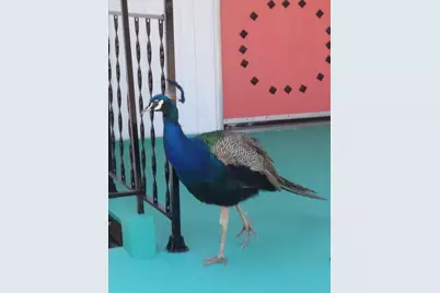 18131 Langlois Road #F-16, Desert Hot Springs, CA 92241 - Photo 25