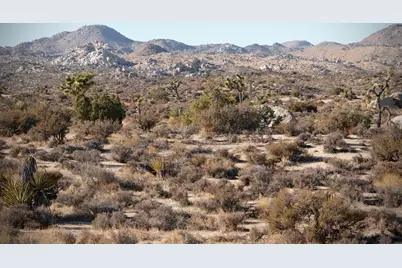 52185 Jalmar Road, Yucca Valley, CA 92284 - Photo 7