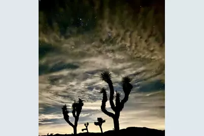 52185 Jalmar Road, Yucca Valley, CA 92284 - Photo 5