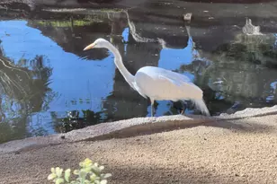 48255 Monroe St, Indio, CA 92201 - Photo 25