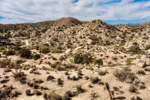 101 Nelson Rd, Yucca Valley, CA 92284 - Photo 11
