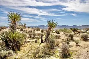 101 Nelson Rd, Yucca Valley, CA 92284 - Photo 29