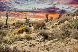 101 Nelson Rd, Yucca Valley, CA 92284 - Photo 47