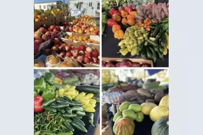 74711 Dillon Rd Spc 103, Desert Hot Springs, CA 92241 - Photo 17