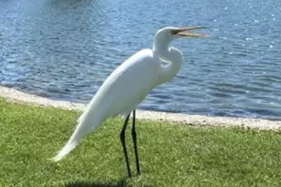 74711 Dillon Rd Spc 103, Desert Hot Springs, CA 92241 - Photo 19