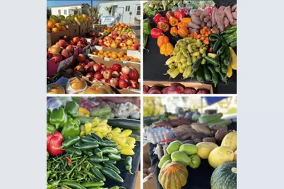 74711 Dillon Rd Spc 996, Desert Hot Springs, CA 92241 - Photo 43