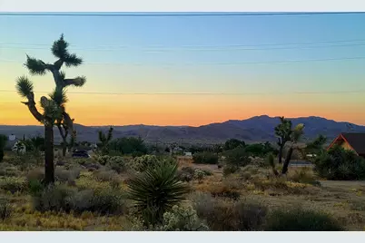 60307 Alta Loma Drive, Joshua Tree, CA 92252 - Photo 3