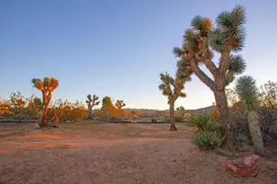 58371 Ute Trail, Yucca Valley, CA 92284 - Photo 23