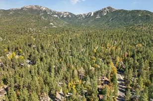 53570 Idyllbrook Dr, Idyllwild, CA 92549 - Photo 43