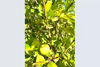 80372 Camino San Lucas, Indio, CA 92203 - Photo 91