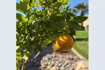 80372 Camino San Lucas, Indio, CA 92203 - Photo 89