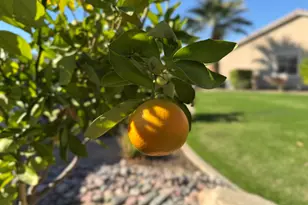 80372 Camino San Lucas, Indio, CA 92203 - Photo 89