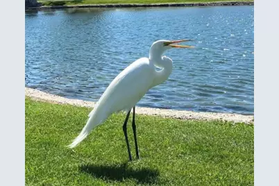 74711 Dillon Rd Spc 1017, Desert Hot Springs, CA 92241 - Photo 53