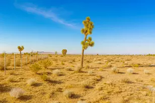 6982 South St, Phelan, CA 92371 - Photo 1