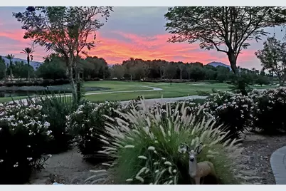 60553 Juniper Lane, La Quinta, CA 92253 - Photo 11