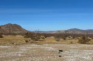 2774 Kickapoo Trail, Landers, CA 92285 - Photo 41