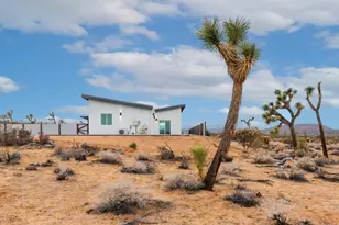 6689 Torres Ave, Joshua Tree, CA 92252 - Photo 41