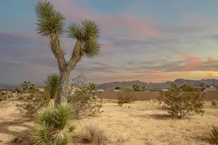 61148 Prescott Trail, Joshua Tree, CA 92252 - Photo 3