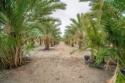 84925 61st Avenue, Thermal, CA 92274 - Photo 41