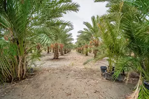 84925 61st Ave, Thermal, CA 92274 - Photo 41