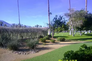 46335 Burroweed Ln, Palm Desert, CA 92260 - Photo 63