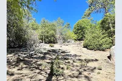 0 Mountain View, Idyllwild, CA 92549 - Photo 13