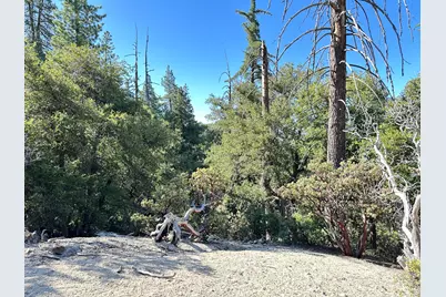 0 Mountain View, Idyllwild, CA 92549 - Photo 11