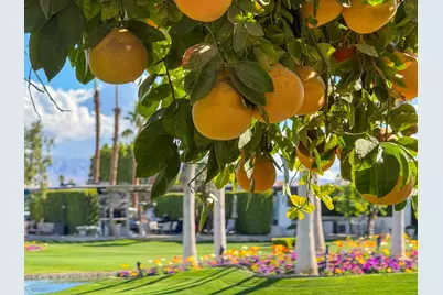 80394 Avenue 48 #18, Indio, CA 92201 - Photo 9