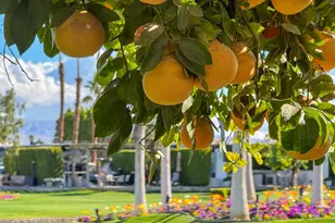 80394 Ave 48, Indio, CA 92201 - Photo 9