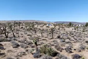 4039 Greasewood Ln, Yucca Valley, CA 92284 - Photo 17